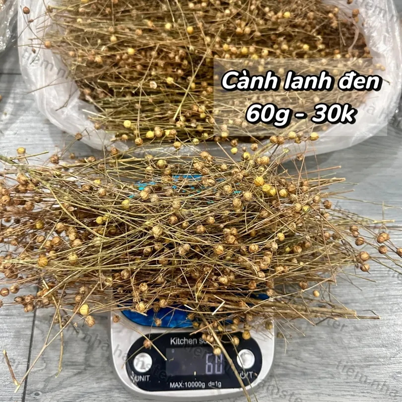Cành lanh đen