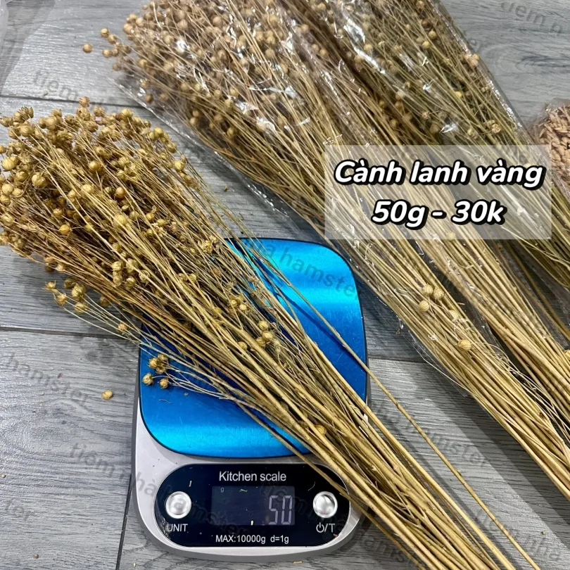 Cành lanh vàng