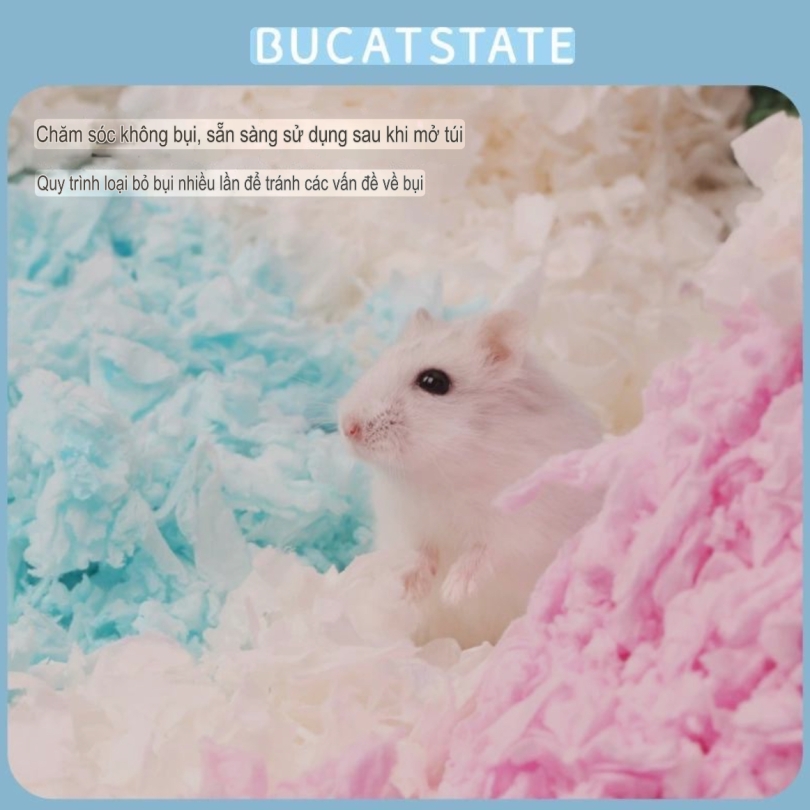 Giấy Bucatstate màu Cơ bản 400g