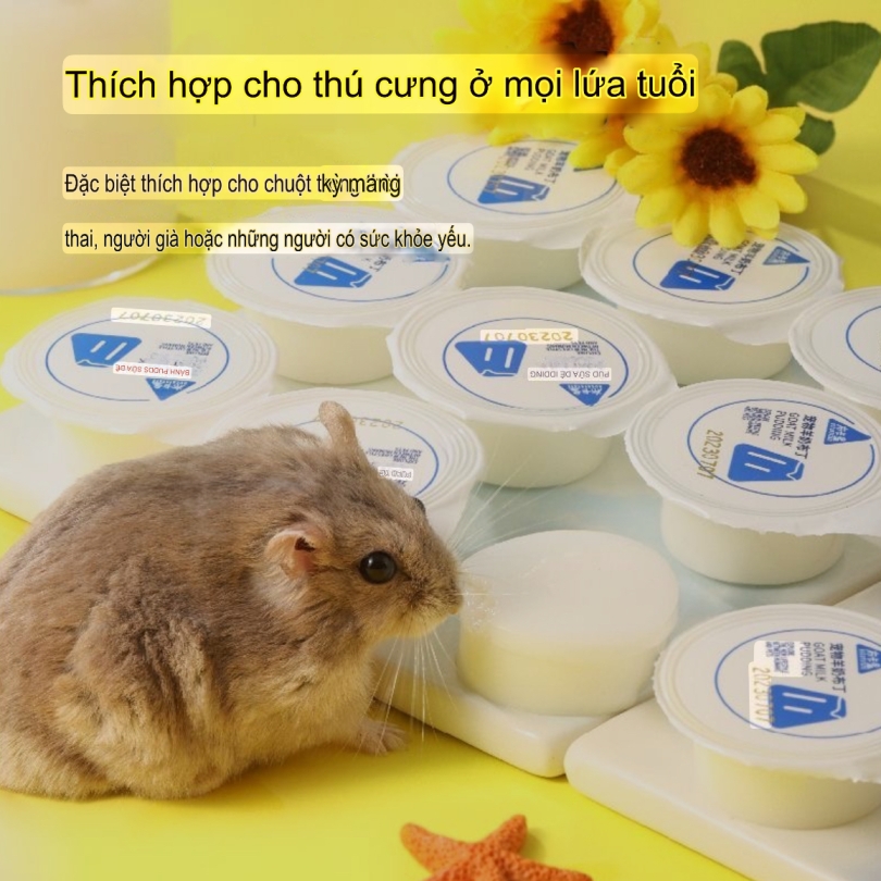 Pudding Sữa dê Bucatstate