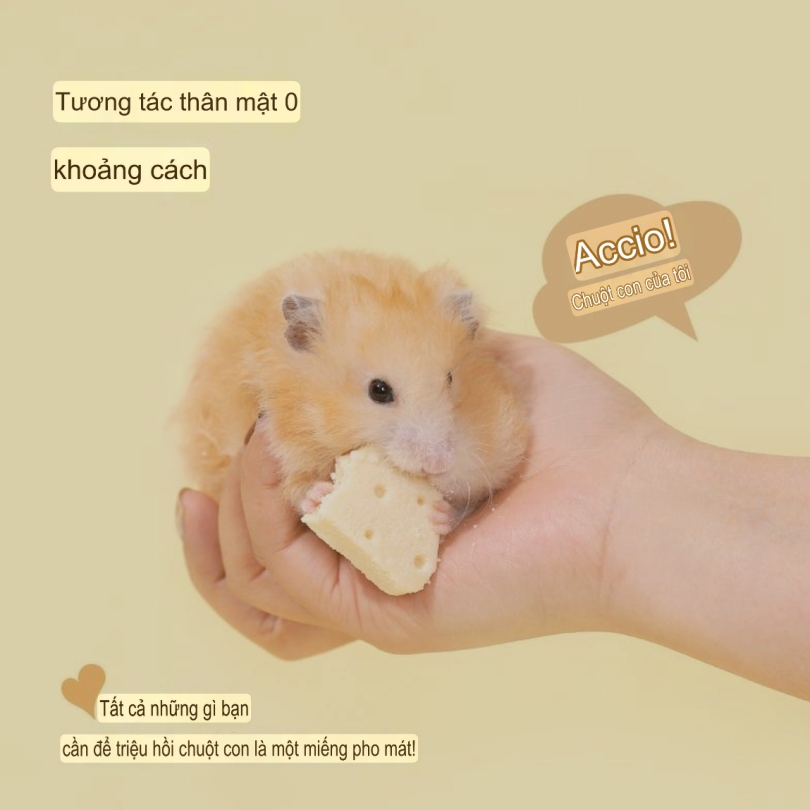 1 Viên Phô mai sữa mềm Tafit 