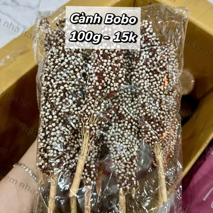 Cành Bobo