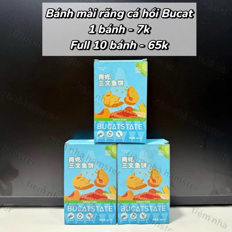 Bánh cá hồi mài răng Bucatstate