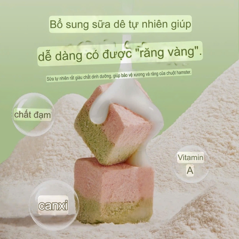Bánh sữa dê việt quốc Bucat