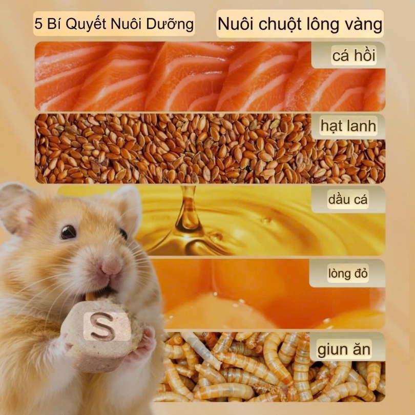 Thức ăn Tafit Trái Cây Đông Khô - 450g