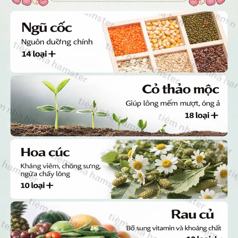 DK JESSI Xanh bản nâng cấp dạng Hộp 500G