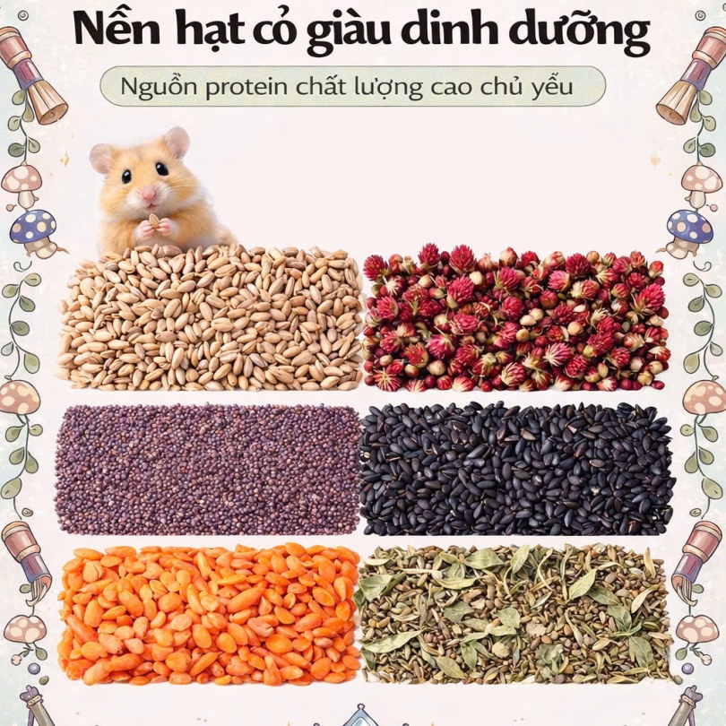 DK JESSI Xanh bản nâng cấp dạng Hộp 500G