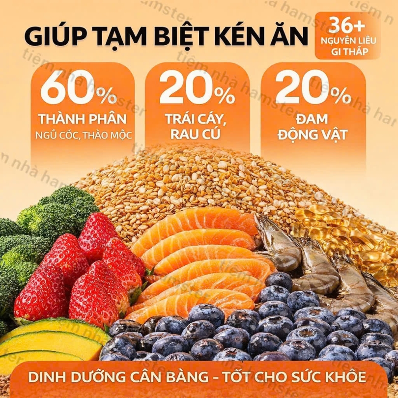 Nén Dinh Dưỡng GJGJO