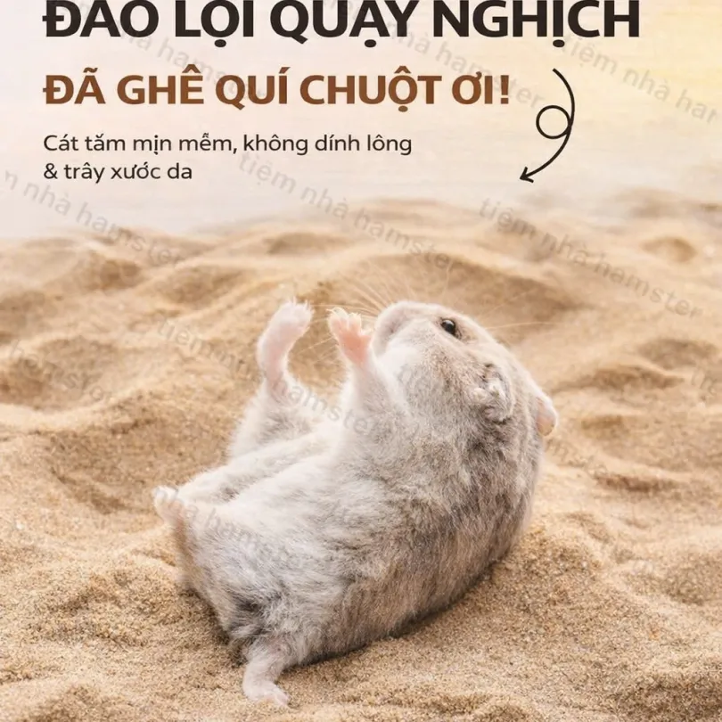 CÁT SA MẠC MỊN YEE - 1KG