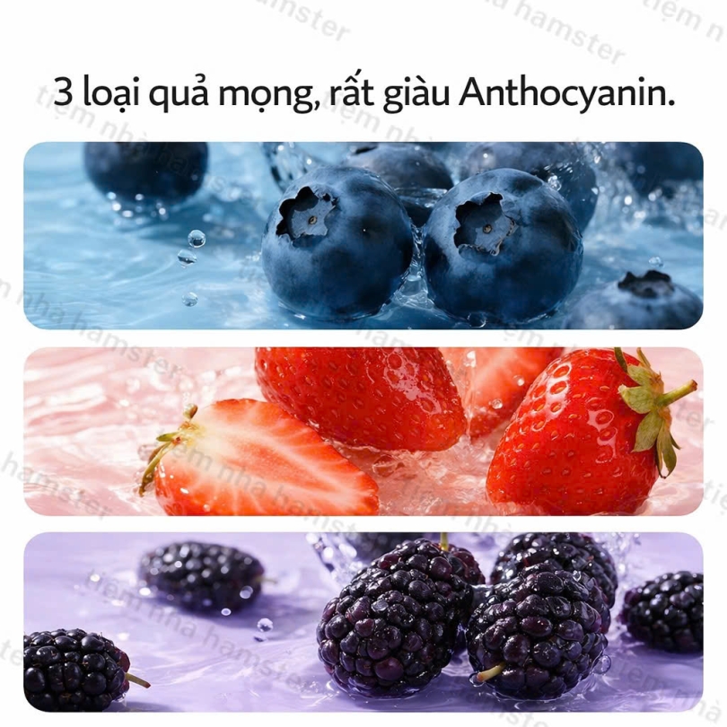 Bánh sữa dê mix 3 loại trái cây YEE