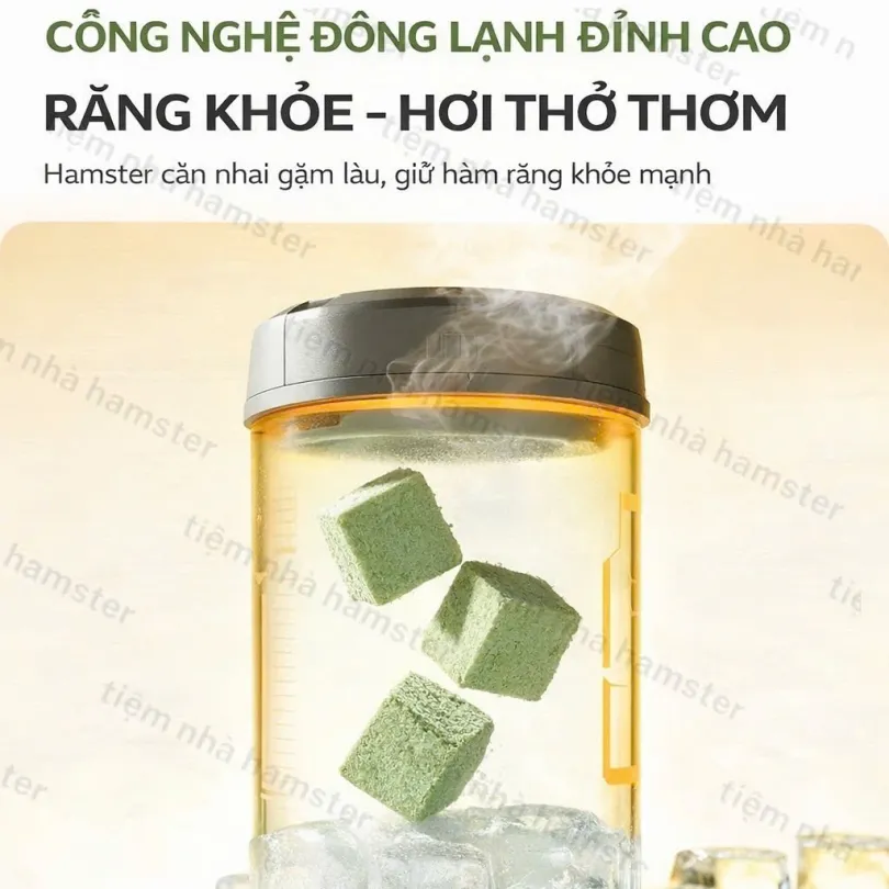 Dừa Xanh Sấy Giòn YEE