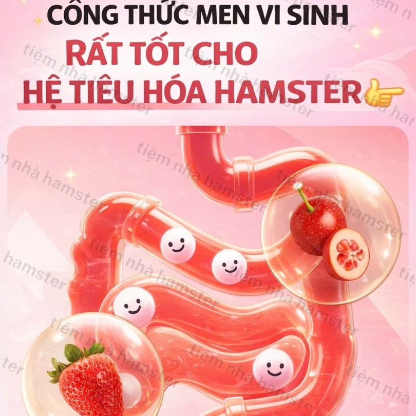 BÁNH SỮA CHUA PROBIOTIC YEE