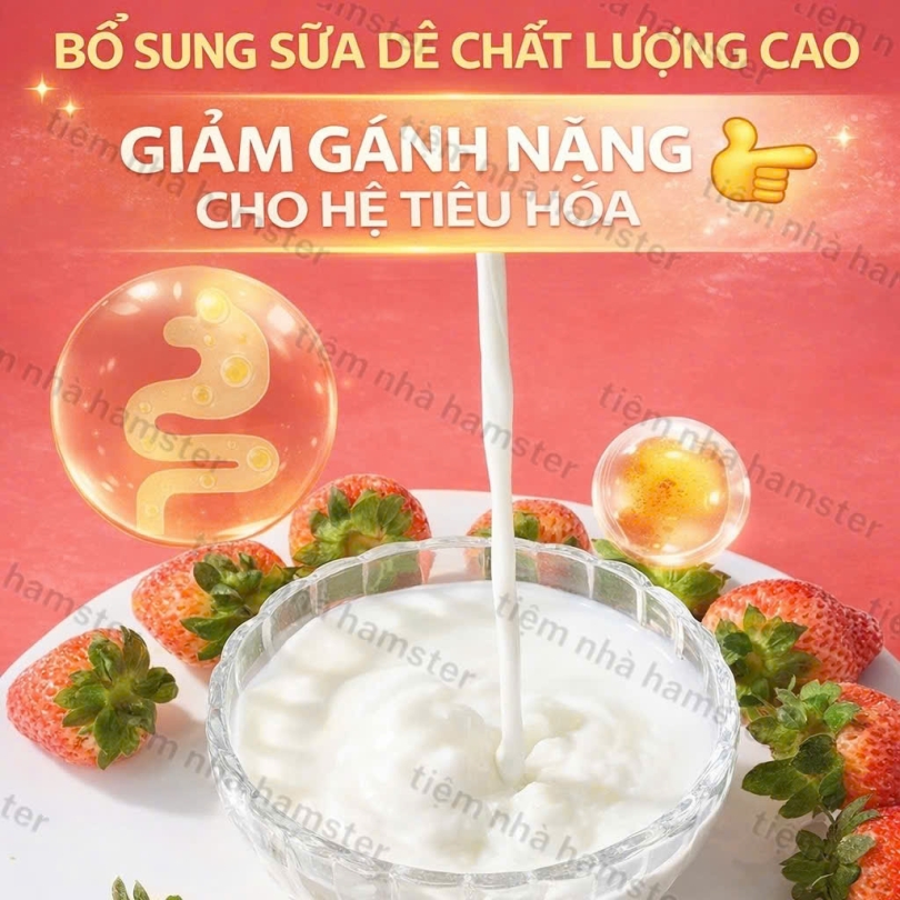BÁNH SỮA CHUA PROBIOTIC YEE