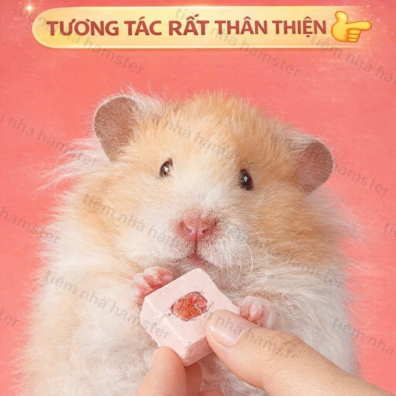 BÁNH SỮA CHUA PROBIOTIC YEE