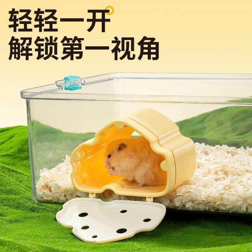 NHÀ NHÌN TRỘM YEE 