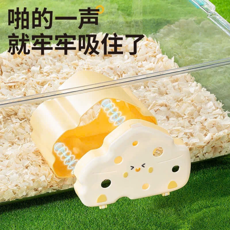 NHÀ NHÌN TRỘM YEE 