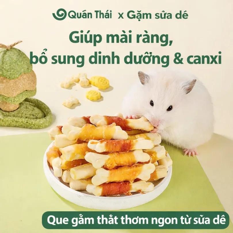 Que xương thịt mài răng GJO