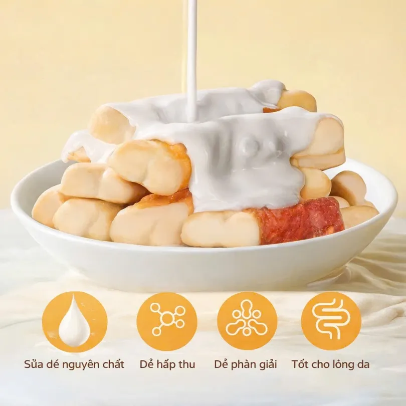 Que xương thịt mài răng GJO