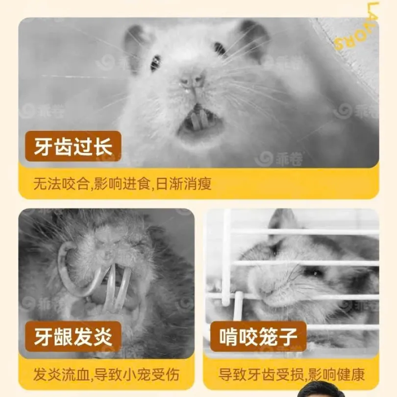 Que xương thịt mài răng GJO