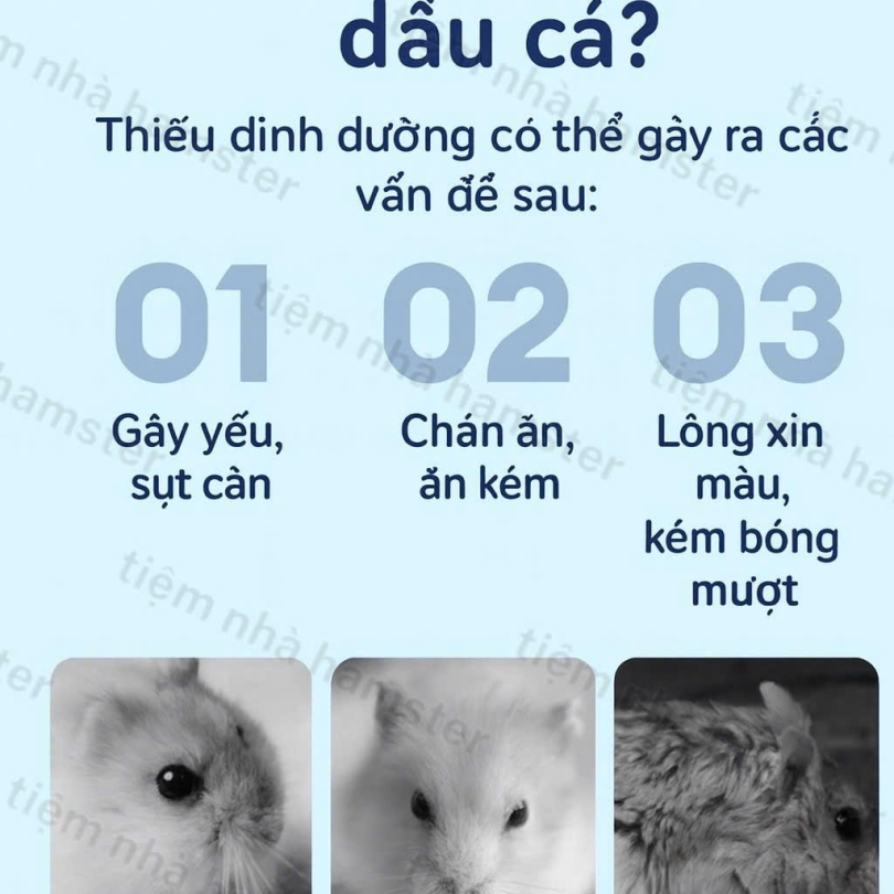 Dầu cá hồi sâu biển Bucat Hộp 50 Viên