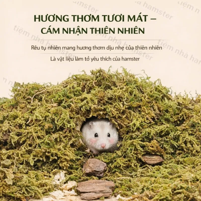 Rêu khô lót chuồng MOOI - 150g