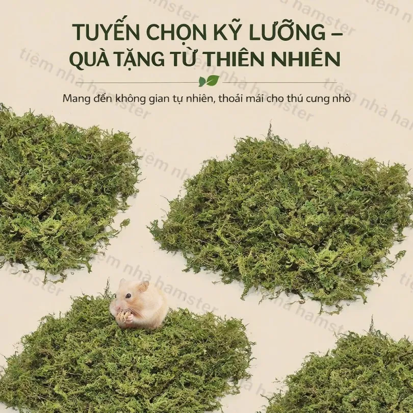 Rêu khô lót chuồng MOOI - 150g