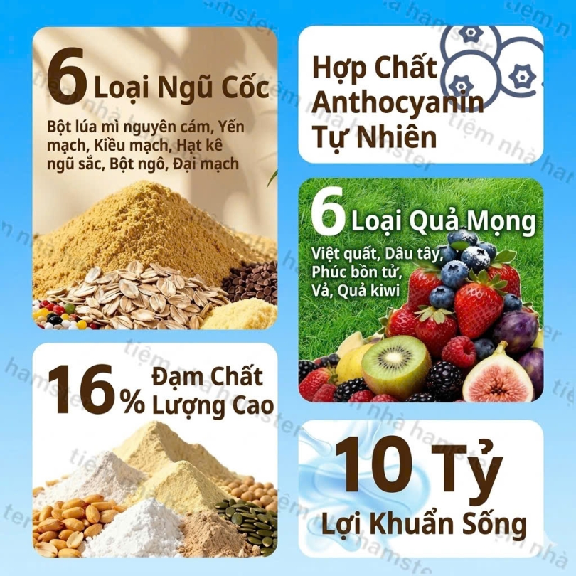 Nén trái cây Belgi - 350g