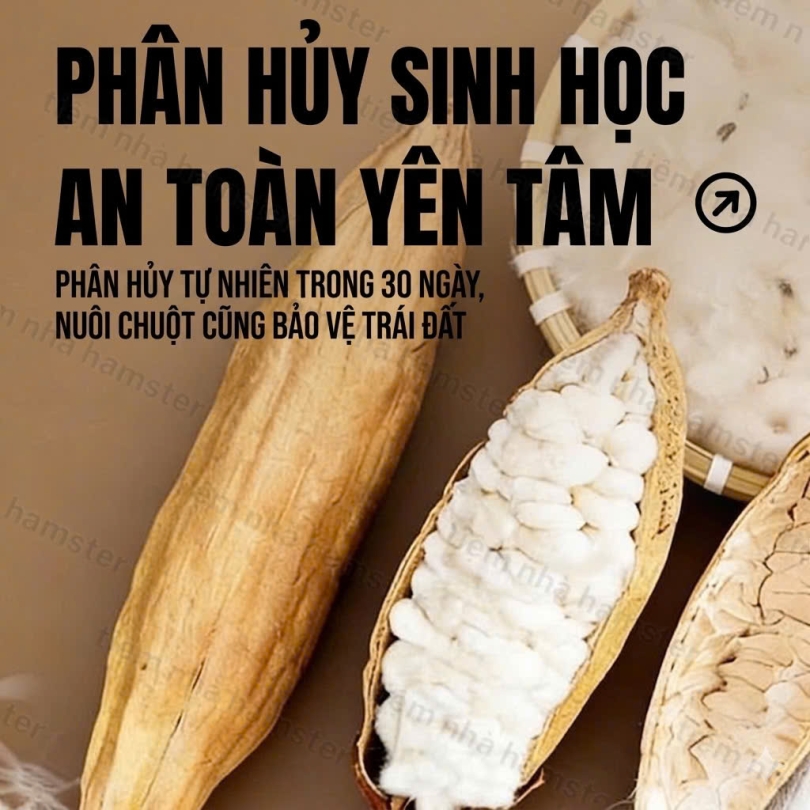 Bông gòn giữ ấm cotton nguyên chất Belgi - 100g