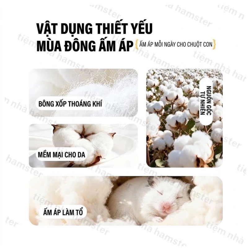 Bông gòn trắng giữ ấm Belgi - 200g