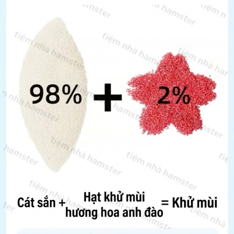 CÁT THỰC VẬT 2in1 BELGI – VÓN TỐT KHỬ MÙI - 900g