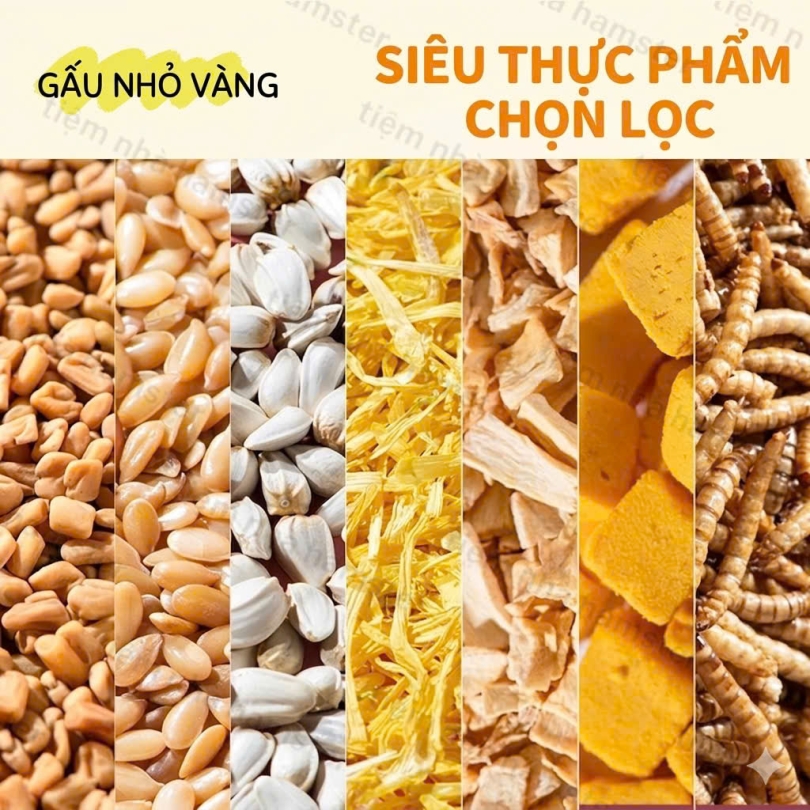 Thức Ăn Trại Kimi 60 Thành Phần