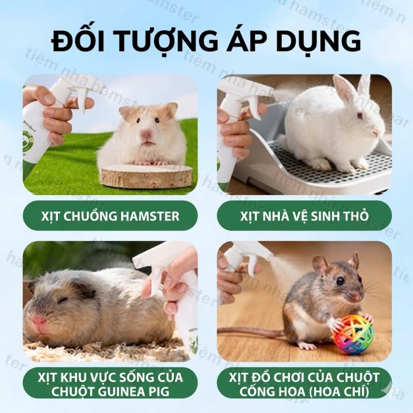 Xịt khuẩn thơm chuồng GJO - 300ml