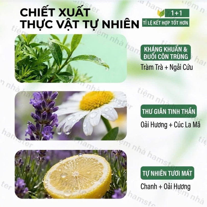 Xịt khuẩn thơm chuồng GJO - 300ml