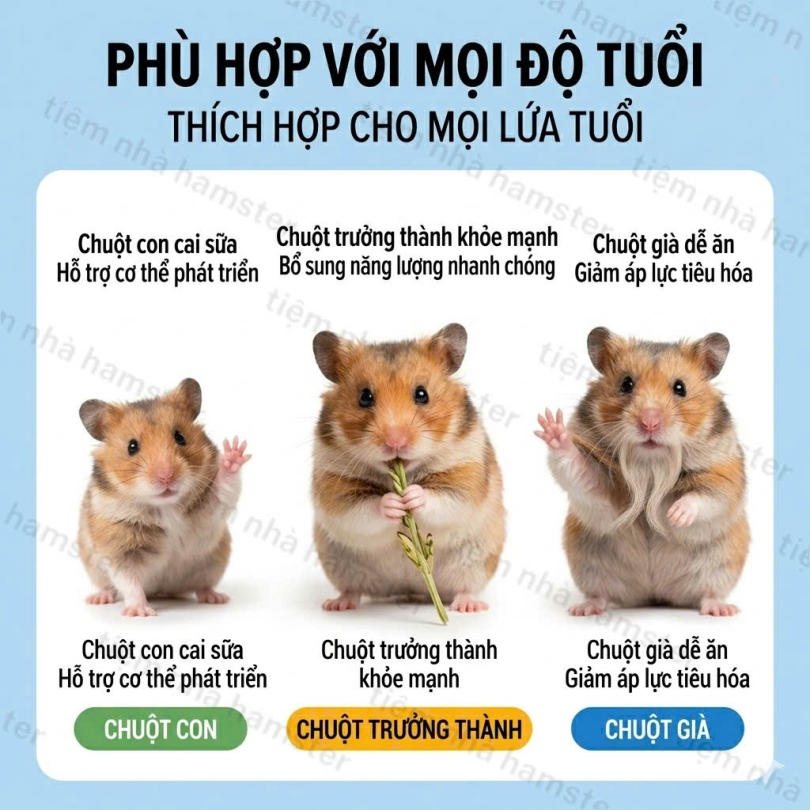 BỘT DINH DƯỠNG NĂNG LƯỢNG CAO DK JESSI - 180G