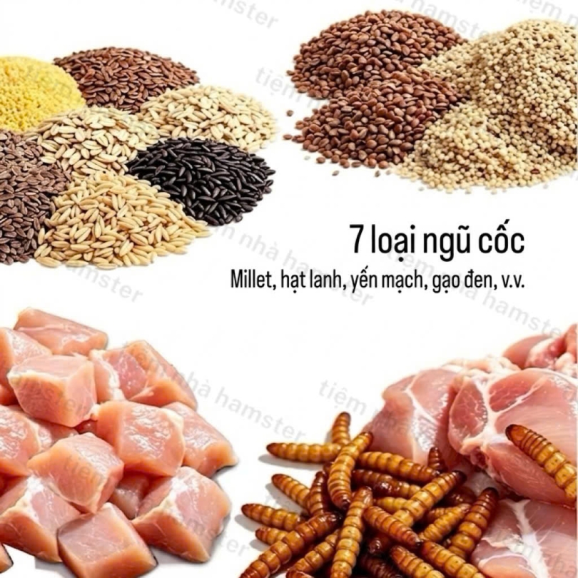 BỘT DINH DƯỠNG NĂNG LƯỢNG CAO DK JESSI - 180G