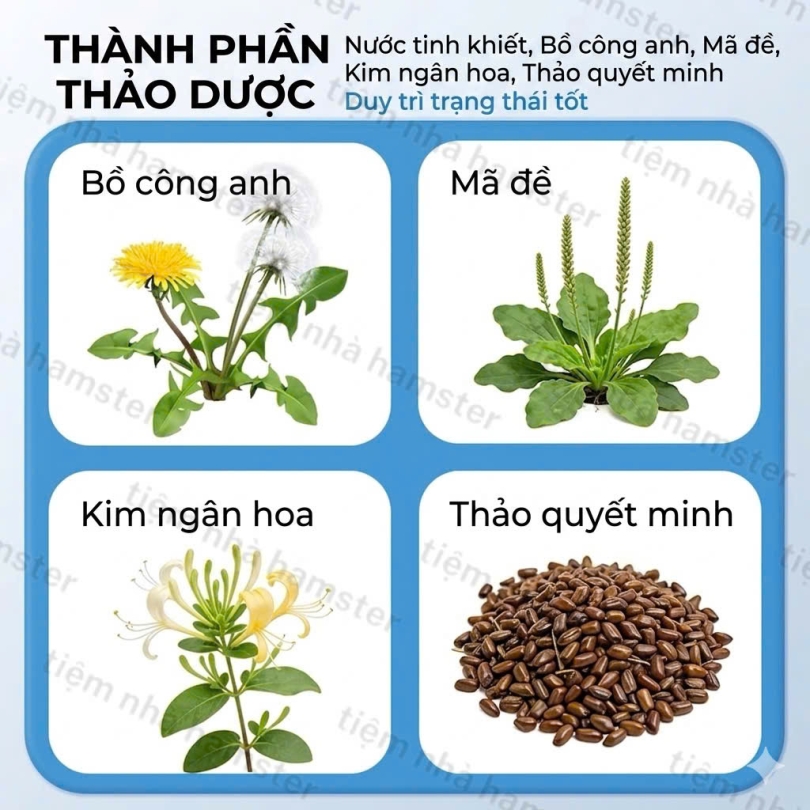 Trà Giải Nhiệt Dk Jessi bổ sung vitamin - 60ml